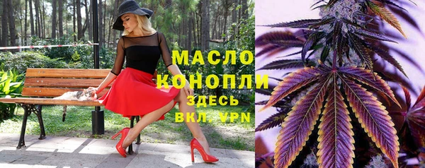 дмт Надым