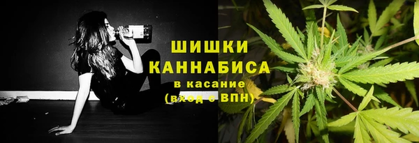 ПСИЛОЦИБИНОВЫЕ ГРИБЫ Сосновоборск