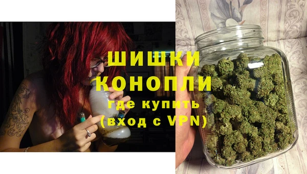 дмт Надым