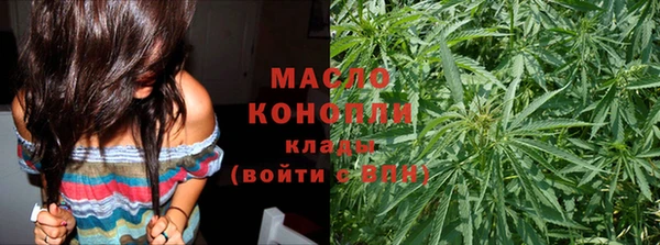 дмт Надым