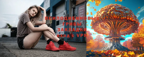 ПСИЛОЦИБИНОВЫЕ ГРИБЫ Сосновоборск