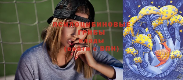 ГАЛЛЮЦИНОГЕННЫЕ ГРИБЫ Щигры