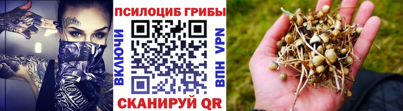 Галлюциногенные грибы мухоморы ссылка на мегу Аркадак